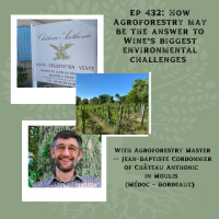 Friends of the Pod Series -- Ep 432: Agroforestry -- An Answer to Wines Biggest Environmental Challenges with Jean-Baptiste Cordonnier of Château Anthonic in Moulis-en-Médoc