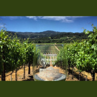 Friends of the Pod Series -- Ep 217: Peterson Winery of Dry Creek Valley of Sonoma, CA