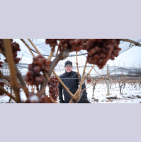 Friends of the Pod Series -- Ep 296: Boundary Breaks of the Finger Lakes, Where Terroir Reigns Supreme