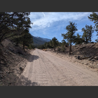 650 - Rambling ROMA 3 (For Allene)