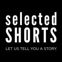 Bonus: Meg Wolitzer Talks to Alison Stewart