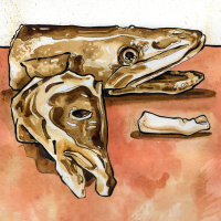 S22 Ep19: NoSleep Podcast S22E19