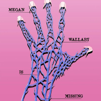 189 - Megan Wallaby Is Missing