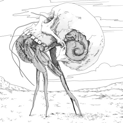 Welcome To Night Vale