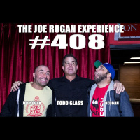 #408 - Todd Glass