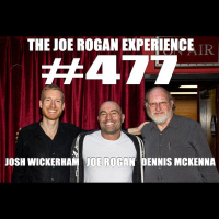#477 - Dennis McKenna  Joshua Wickerham
