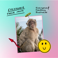 Everyone  Monkey Business