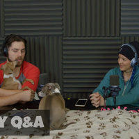 Podcast #71 - Holiday QA