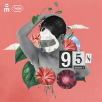 95% - Episódio 4