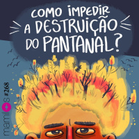 Como impedir a destruição do Pantanal?