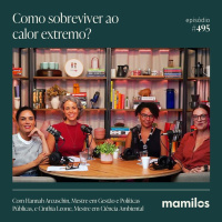 Onda de calor mata, e agora?