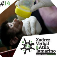 Especial Coronavírus #14