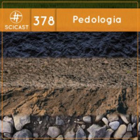 Pedologia (SciCast #378)