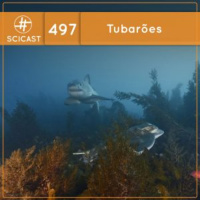 Tubarões (SciCast #497)