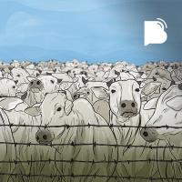 Terceirização da fé – BTCast 329