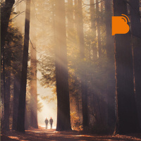 Vida em comunhão – BTCast MC 014