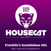 Franklins bumblebee Mix - feat. Hypnotic Progressions | Deep House Cat Show 