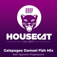 Galapagos Damsel Fish Mix - feat. Hypnotic Progressions | Deep House Cat Show