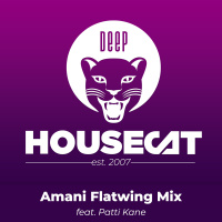 Amani Flatwing Mix - feat. Patti Kane | Deep House Cat Show