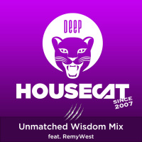 Deep House Cat Show - Unmatched Wisdom Mix - feat. RemyWest