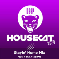 Deep House Cat Show - Stayin Home Mix - feat. Foxx N Adams