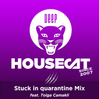 Deep House Cat Show - Stuck in quarantine Mix - feat. Tolga Camakli