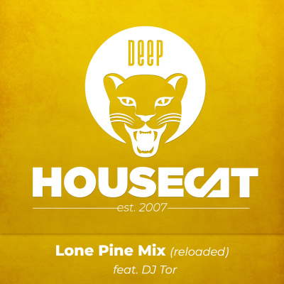 Deep House Cat