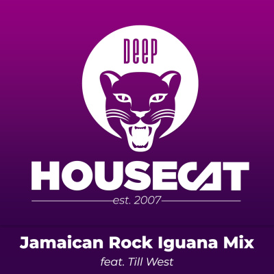 Deep House Cat