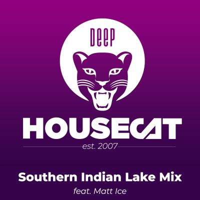 Deep House Cat