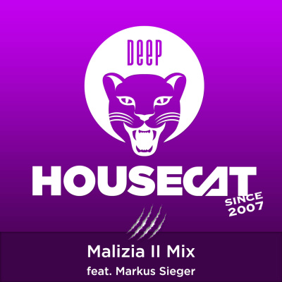 Deep House Cat