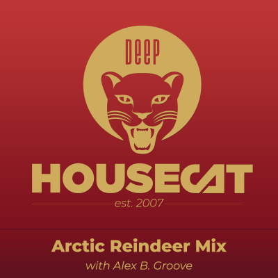 Deep House Cat