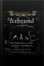 Icebound: Shipwrecked At The Edge Of The World