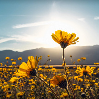 Listen Again: Revitalize