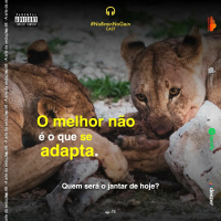 #75 O melhor não é o que se adapta