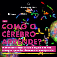 #54 Como o cérebro aprende