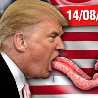 Otário News (14 de agosto)