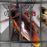 Otário News (3 de julho)