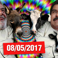 Otário News(8 de maio)