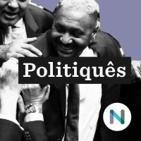 #18 O que faz um deputado federal