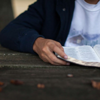 352: SBB e a distribuição de Bíblias