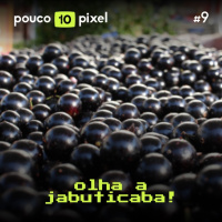 10 Anos #9: Olha a jabuticaba!