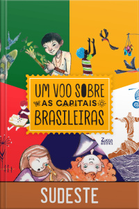 Um voo sobre as capitais brasileiras - Sudeste