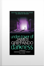 Under Cover of Darkness