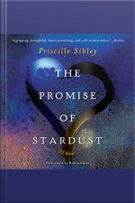 The Promise of Stardust