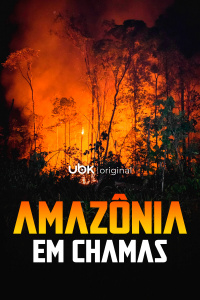 Amazônia em chamas