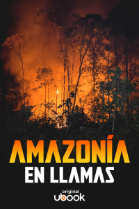 Amazonía en llamas