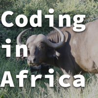 Coding In Africa