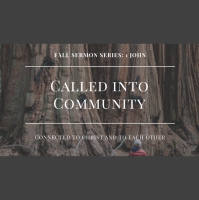 Fellowship in the Family of God