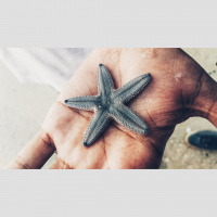 The Starfish Flinger - Guest Terry Wissman