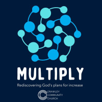 Multiply - MESS